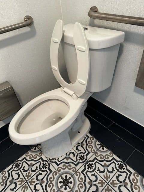 Project From Grime to Shine with Our Restroom Deep Clean image