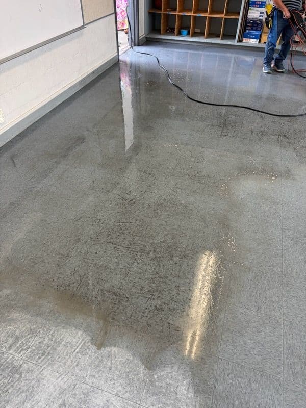 Stunning Floor Revival with Loyal Maintenance image